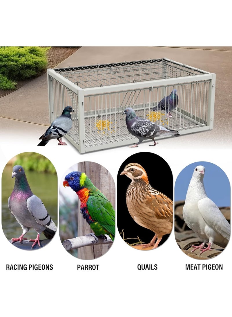 Pigeon trapping cage with one-way entrance (2 doors), bird trapping cage, automatic pigeon trap with a design... - Image 2